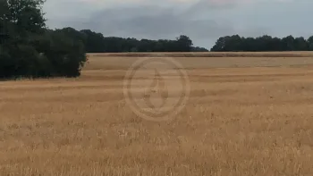 Incendie à Fleuré - Vienne - 20 juin 2026 - Feux de forêts et d'espaces naturels