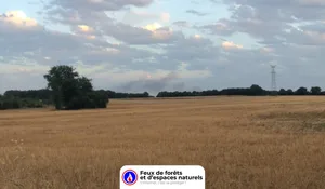 Incendie à Fleuré (86) : le feu est éteint