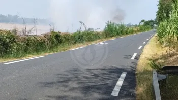 Incendie à Bessan - Hérault - 20 juillet 2026 - Feux de forêts et d'espaces naturels