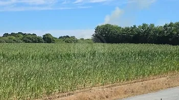 Incendie à Trégunc - Finistère - 20 juillet 2026 - Feux de forêts et d'espaces naturels