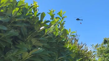 Incendie à Trégunc - Finistère - 20 juillet 2026 - Feux de forêts et d'espaces naturels