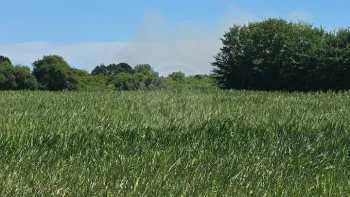 Incendie à Trégunc - Finistère - 20 juillet 2026 - Feux de forêts et d'espaces naturels