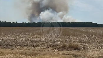Incendie à Broué - Eure-et-Loir - 20 juillet 2026 - Feux de forêts et d'espaces naturels