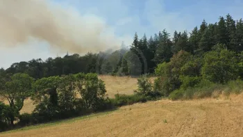 Incendie à Vaugneray - Rhône - 20 juillet 2026 - Feux de forêts et d'espaces naturels