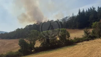 Incendie à Vaugneray - Rhône - 20 juillet 2026 - Feux de forêts et d'espaces naturels