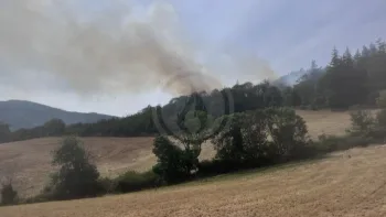 Incendie à Vaugneray - Rhône - 20 juillet 2026 - Feux de forêts et d'espaces naturels