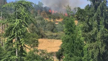 Incendie à Vaugneray - Rhône - 20 juillet 2026 - Feux de forêts et d'espaces naturels