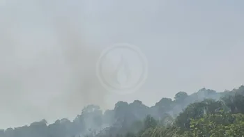 Incendie à Vaugneray - Rhône - 20 juillet 2026 - Feux de forêts et d'espaces naturels