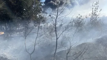 Incendie à Nantes - Loire-Atlantique - 20 juillet 2026 - Feux de forêts et d'espaces naturels