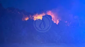 Incendie à Brignoles - Var - 20 juillet 2026 - Feux de forêts et d'espaces naturels