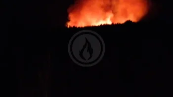 Incendie à Saint-Palais-de-Négrignac - Charente-Maritime - 21 juillet 2026 - Feux de forêts et d'espaces naturels