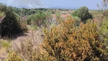 Incendie à Conques-sur-Orbiel - Aude - 21 juillet 2026 - Feux de forêts et d'espaces naturels