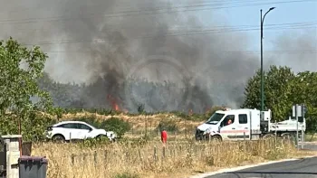 Incendie à Selles-sur-Cher - Loir-et-Cher - 21 juillet 2026 - Feux de forêts et d'espaces naturels
