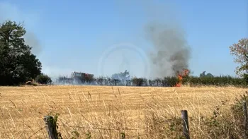 Incendie à Saint-Aubin-sur-Loire - Saône-et-Loire - 21 juillet 2026 - Feux de forêts et d'espaces naturels