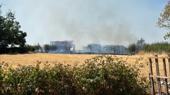 Incendie à Saint-Aubin-sur-Loire - Saône-et-Loire - 21 juillet 2026 - Feux de forêts et d'espaces naturels