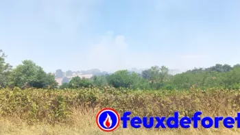 Incendie à Saint-Aubin-sur-Loire - Saône-et-Loire - 21 juillet 2026 - Feux de forêts et d'espaces naturels