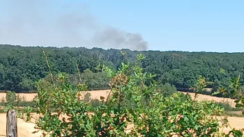Incendie à Saint-Aubin-sur-Loire - Saône-et-Loire - 21 juillet 2026 - Feux de forêts et d'espaces naturels