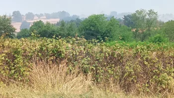 Incendie à Saint-Aubin-sur-Loire - Saône-et-Loire - 21 juillet 2026 - Feux de forêts et d'espaces naturels