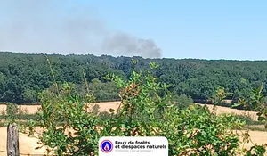 Incendie à Saint-Aubin-sur-Loire (71) : les pompiers interviennent