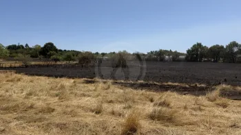 Incendie à Thiviers - Dordogne - 21 juillet 2026 - Feux de forêts et d'espaces naturels