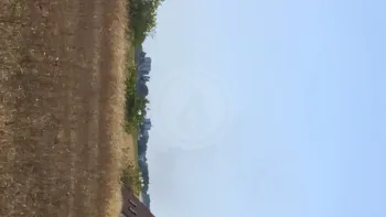 Incendie à Vineuil - Loir-et-Cher - 21 juillet 2026 - Feux de forêts et d'espaces naturels