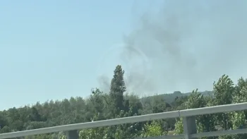Incendie à Vineuil - Loir-et-Cher - 21 juillet 2026 - Feux de forêts et d'espaces naturels