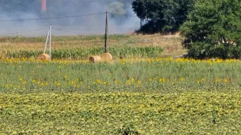 Incendie à Corme-Écluse - Charente-Maritime - 21 juillet 2026 - Feux de forêts et d'espaces naturels