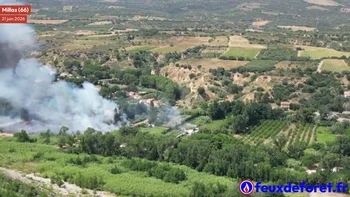 Incendie à Millas - Pyrénées-Orientales - 21 juin 2026 - Feux de forêts et d'espaces naturels