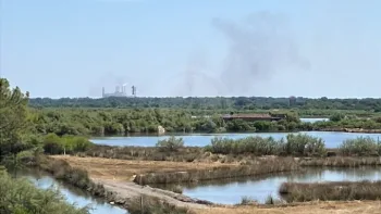 Incendie à Mios - Gironde - 21 juillet 2026 - Feux de forêts et d'espaces naturels