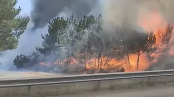 Incendie à Mios - Gironde - 21 juillet 2026 - Feux de forêts et d'espaces naturels