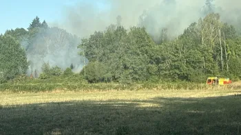 Incendie à Saint-Hilaire-les-Places - Haute-Vienne - 21 juillet 2026 - Feux de forêts et d'espaces naturels