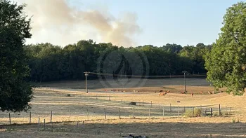 Incendie à Saint-Hilaire-les-Places - Haute-Vienne - 21 juillet 2026 - Feux de forêts et d'espaces naturels