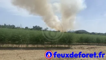 Incendie à Remoulins - Gard - 21 juin 2026 - Feux de forêts et d'espaces naturels