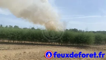 Incendie à Remoulins - Gard - 21 juin 2026 - Feux de forêts et d'espaces naturels
