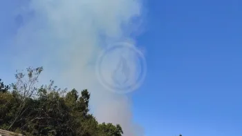 Incendie à Pompéjac - Gironde - 21 juillet 2026 - Feux de forêts et d'espaces naturels