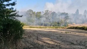 Incendie à Verneuil - Charente - 21 juillet 2026 - Feux de forêts et d'espaces naturels