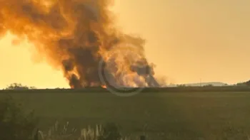 Incendie à Jussy-le-Chaudrier - Cher - 21 juin 2026 - Feux de forêts et d'espaces naturels