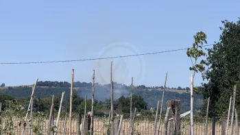 Incendie à Colayrac-Saint-Cirq - Lot-et-Garonne - 22 juillet 2026 - Feux de forêts et d'espaces naturels