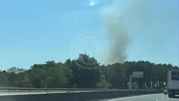 Incendie à Castets - Landes - 22 juillet 2026 - Feux de forêts et d'espaces naturels