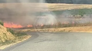 Incendie à Camiac-et-Saint-Denis - Gironde - 22 juillet 2026 - Feux de forêts et d'espaces naturels