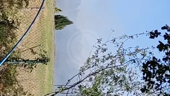 Incendie à Bessines-sur-Gartempe - Haute-Vienne - 22 juillet 2026 - Feux de forêts et d'espaces naturels