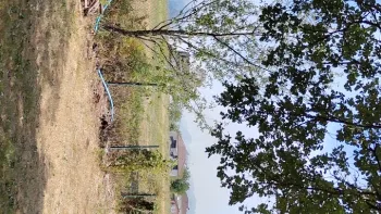 Incendie à Bessines-sur-Gartempe - Haute-Vienne - 22 juillet 2026 - Feux de forêts et d'espaces naturels