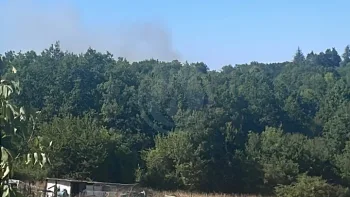 Incendie à Montlieu-la-Garde - Charente-Maritime - 22 juillet 2026 - Feux de forêts et d'espaces naturels