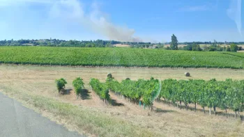 Incendie à Montlieu-la-Garde - Charente-Maritime - 22 juillet 2026 - Feux de forêts et d'espaces naturels