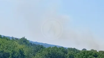 Incendie à Montlieu-la-Garde - Charente-Maritime - 22 juillet 2026 - Feux de forêts et d'espaces naturels