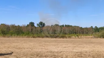 Incendie à Montlieu-la-Garde - Charente-Maritime - 22 juillet 2026 - Feux de forêts et d'espaces naturels