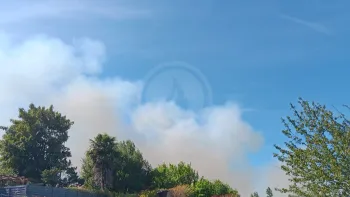Incendie à Montlieu-la-Garde - Charente-Maritime - 22 juillet 2026 - Feux de forêts et d'espaces naturels