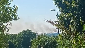 Incendie à Montlieu-la-Garde - Charente-Maritime - 22 juillet 2026 - Feux de forêts et d'espaces naturels