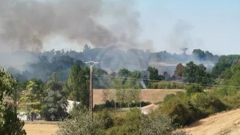 Incendie à Montlieu-la-Garde - Charente-Maritime - 22 juillet 2026 - Feux de forêts et d'espaces naturels