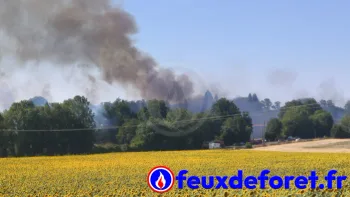 Incendie à Montlieu-la-Garde - Charente-Maritime - 22 juillet 2026 - Feux de forêts et d'espaces naturels
